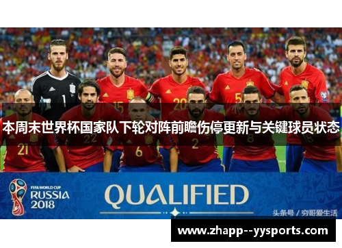 本周末世界杯国家队下轮对阵前瞻伤停更新与关键球员状态